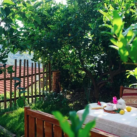 Holiday home Genis Bahceli Barbekuelue Kir Evi Kozalak Evleri