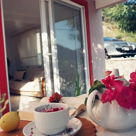 Geniş Bahçeli Barbekülü Kır Evi Kozalak Evlerı *