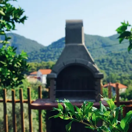 Geniş Bahçeli Barbekülü Kır Evi Kozalak Evlerı